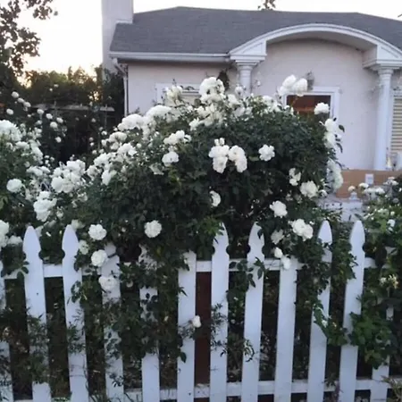 Elegant White Cottage, Venice Beach, California Los Angeles Exterior photo